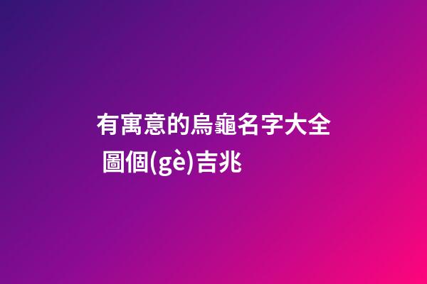 有寓意的烏龜名字大全 圖個(gè)吉兆